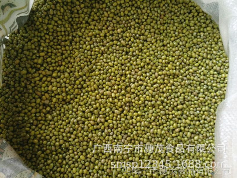 南宁大量批发东北天然明绿豆珍珠绿五谷杂粮粗粮25kg/袋 1袋起批