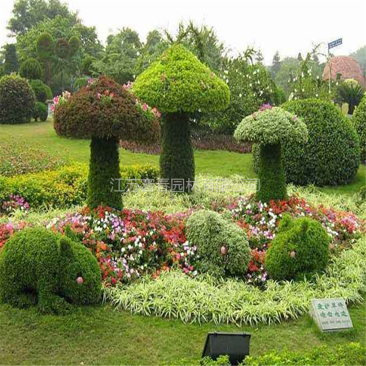 供应仿真五色草动植物绿雕立体花坛可定制几何形状的绿雕