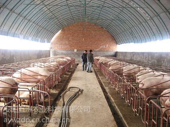 21社论丨持续筑牢A股“健康牛”根基乐竞体育- 乐竞体育官方网站- 乐竞体育APP