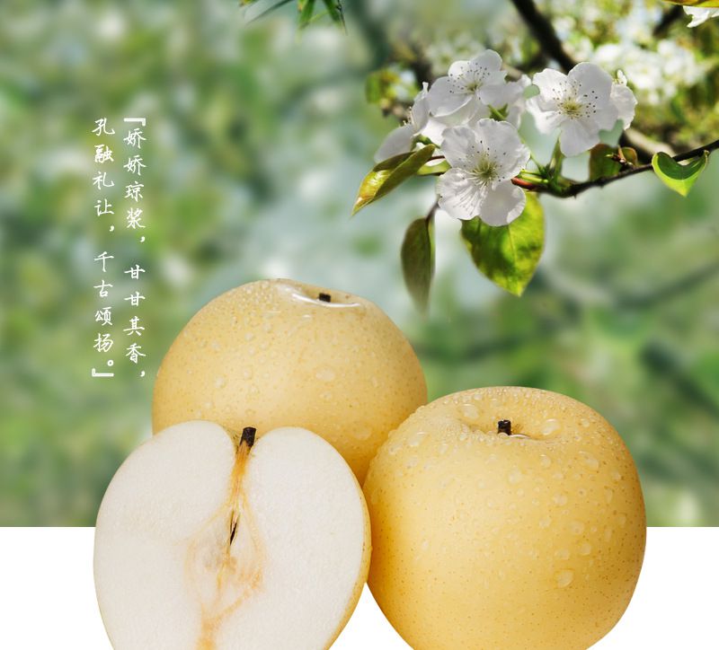 新鲜 莱阳梨 有机水果黄金梨 水分更多 果皮细腻