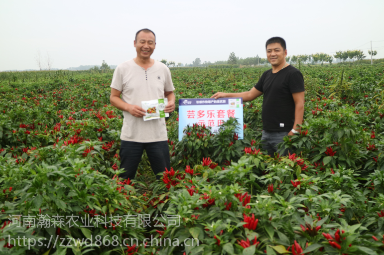 辣椒高产套餐辣椒三遍药价格芸多乐