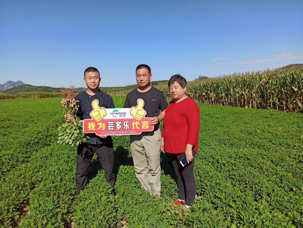 小麦花生高产套餐芸多乐作物高产套餐