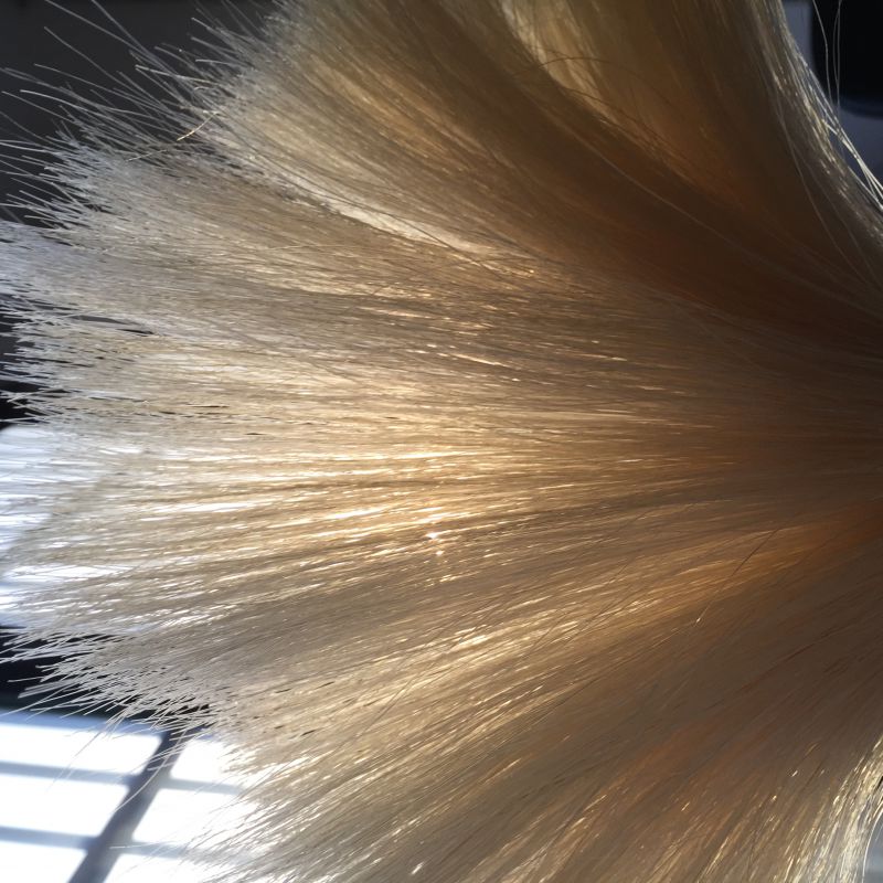 河北厂家直销制刷马尾毛硬度大韧性强马尾毛颜色正优质马毛