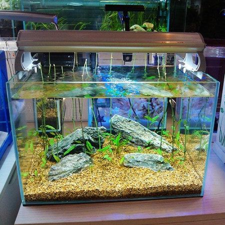 青岛超白玻璃,12mm超白玻璃,超白鱼缸
