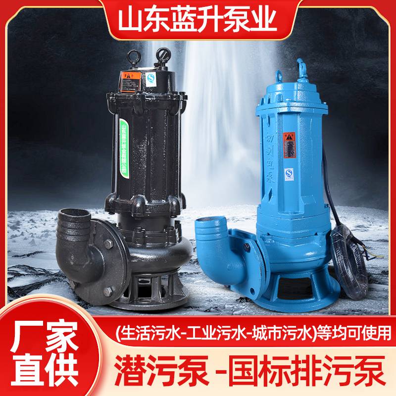 聊城潜污泵蓝升泵业性能稳定潜水潜污泵工作效率高