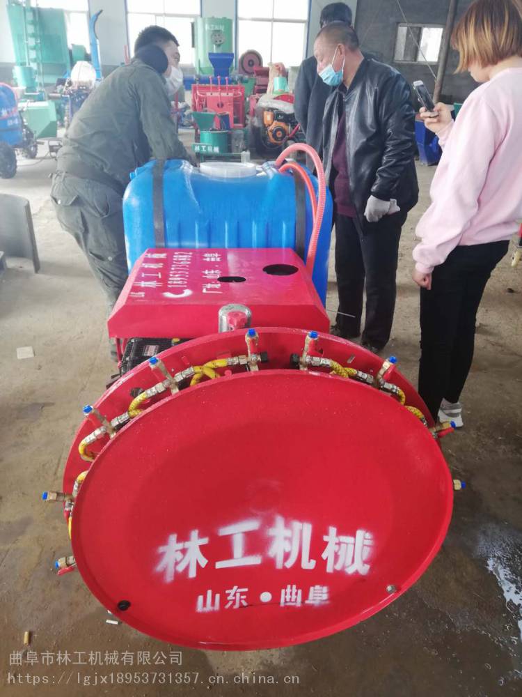 新疆春末17日全景梦幻之旅：避开人潮尽享自然人文奇观