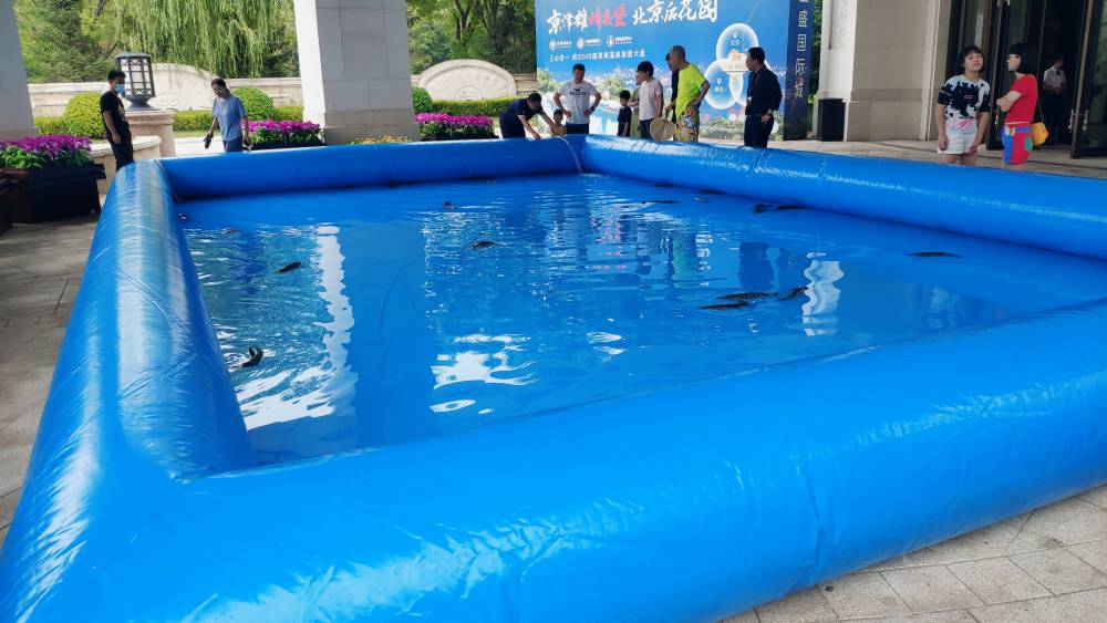京津冀充气水上闯关充气闯关充气水池设备租赁出租