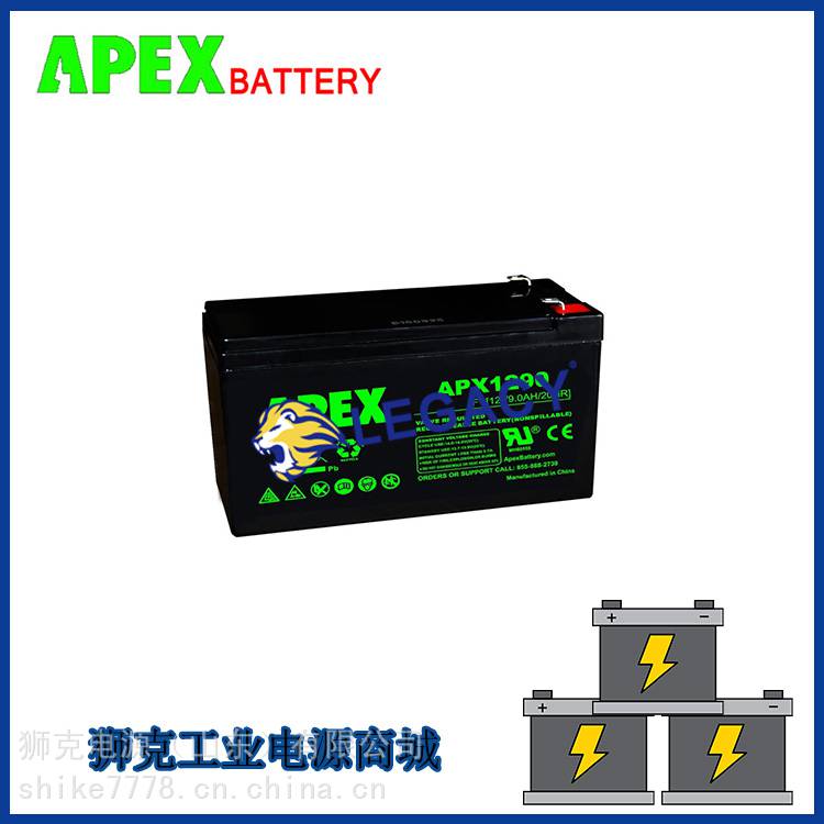 美国APEX蓄电池APX12220应急储能12V22AH机房直流屏UPS电源