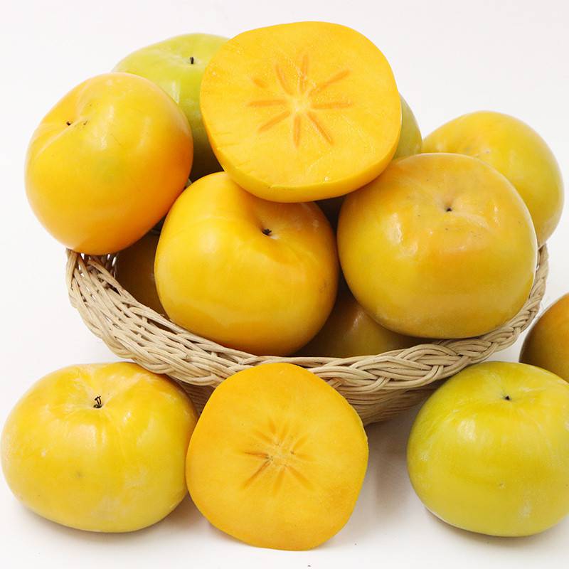 新品种特早熟露芳脆柿太秋甜柿嫁接苗