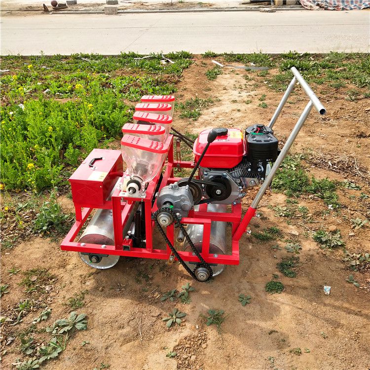 多功能蔬菜種子播種機 小型小麥施肥旱稻播種機型號