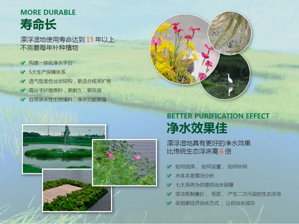 苏州市水生植物浮岛绿化小苗人工人工浮岛