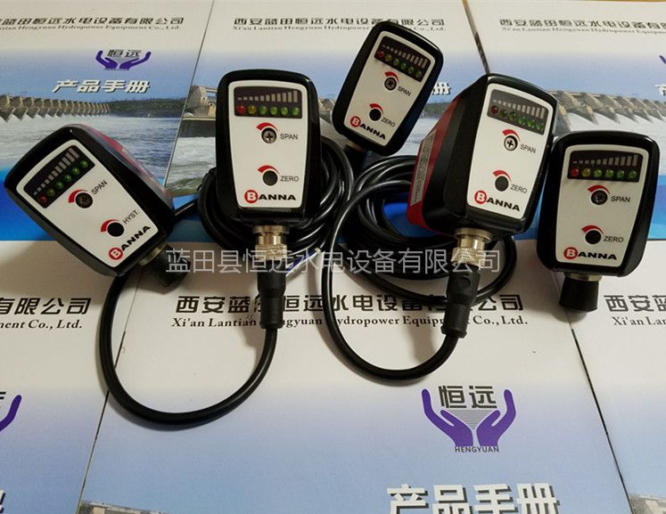 辽东流量计FT20N-G14HDPRQ流量开关原装正品