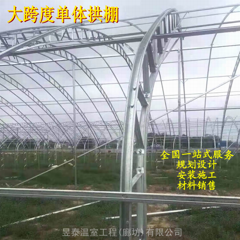 春秋棚冷棚插地棚蔬菜大棚薄膜温室大棚昱泰温室公司设计建造