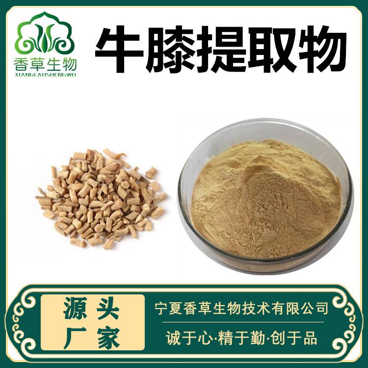 牛膝提取物牛膝多糖川牛膝速溶粉怀牛膝浸膏粉