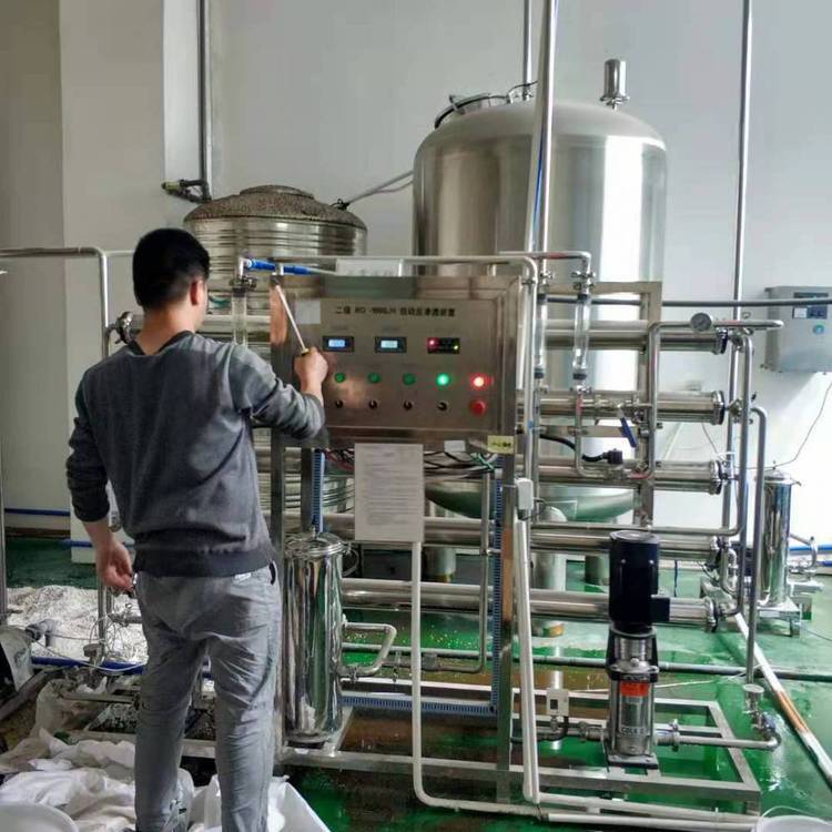 广州水处理反渗透纯水设备安装服务