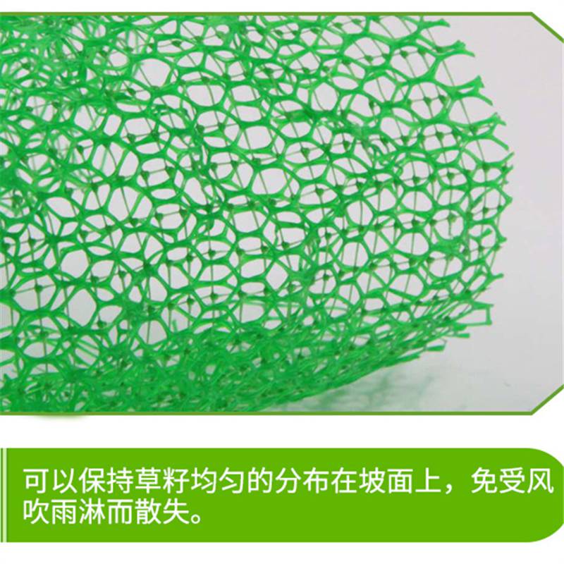 厂家直销多规格三维植被网哪里批发土工网垫价格优惠雅安
