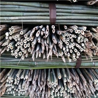 供应3米4米空芯竹杆竹工艺品原材料、农用的空芯竹杆