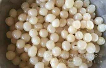 秦林樱桃苗供应 秦林樱桃苗培育基地