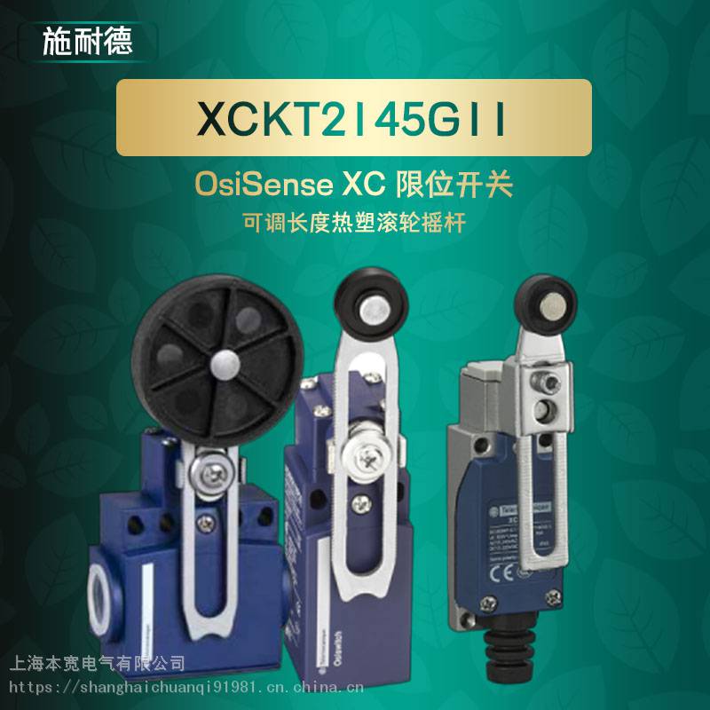 XCKN2149P20C施耐德可调长度热塑滚轮摇杆XCKN塑料外壳立式限位开关