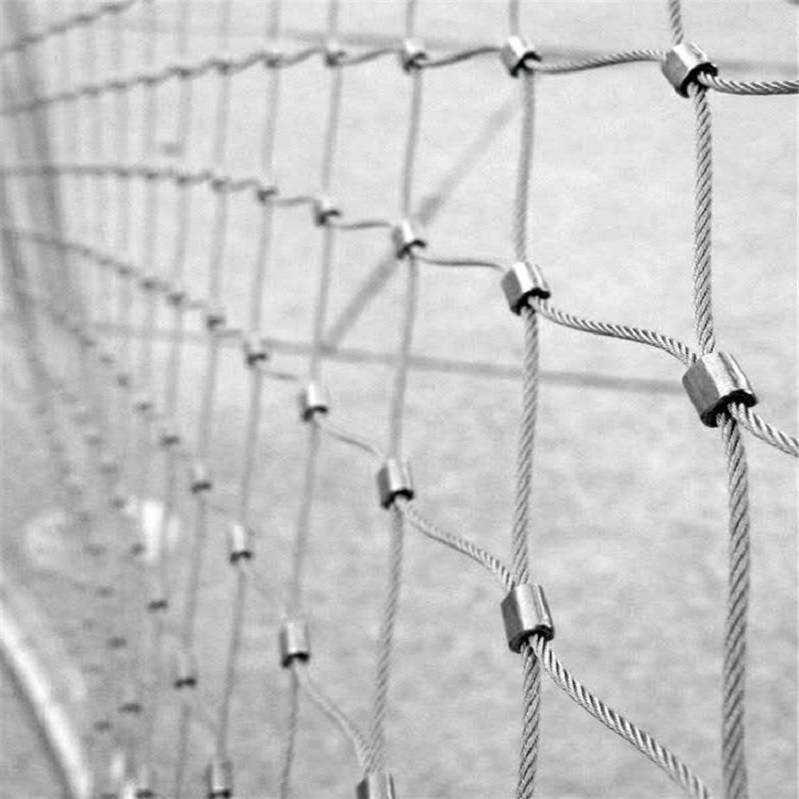 供应不锈钢钢丝绳网聚隆鸟类钢丝绳网