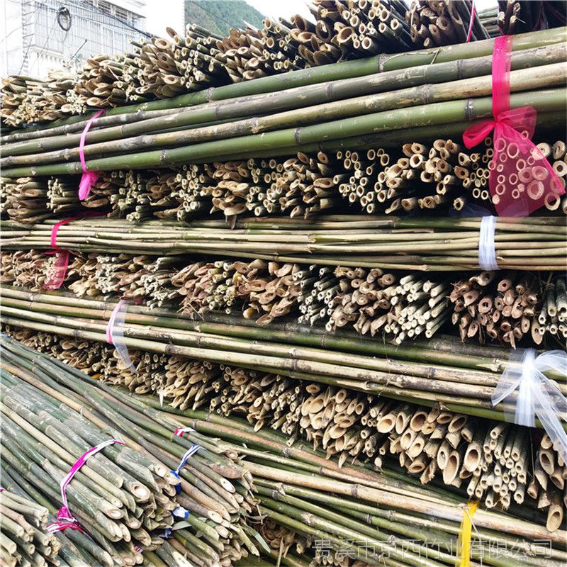 厂家直销矮化陕西子长密植苹果园专用的4米小竹竿
