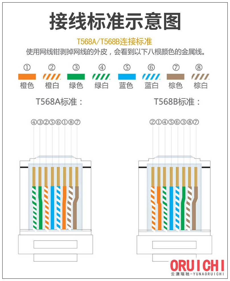 WAN-06云澳山泽WAN-06六类工程镀金版千兆网络信息WPB-015山泽WPB-015