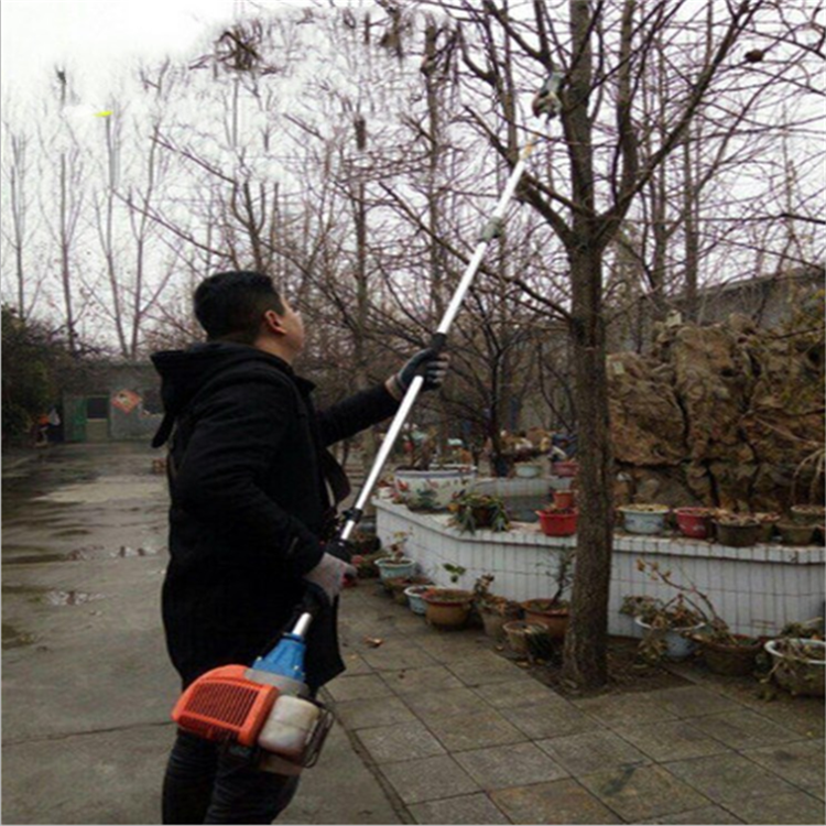 汽油加长杆修枝锯一机多头的高枝锯花树剪枝用修剪机