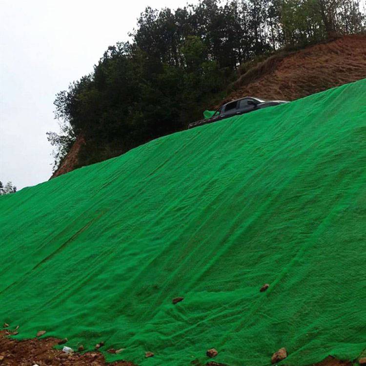 山坡复绿土工网垫环保绿化撒草籽用2层三维植草网垫规格全
