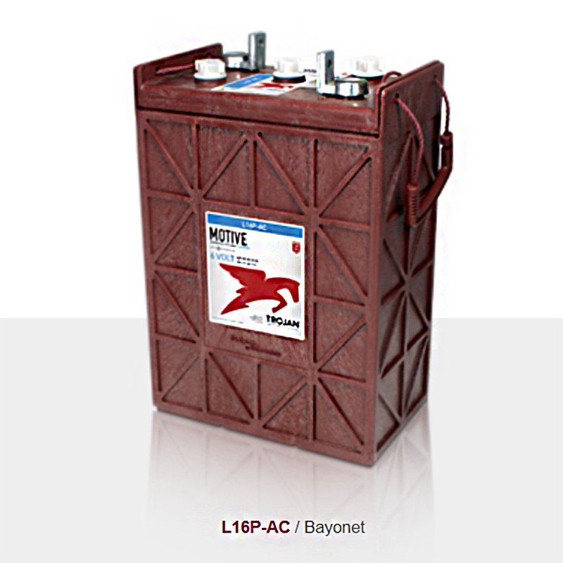 美国（Trojan）邱健蓄电池L16P-AC6V390AH清洁设备