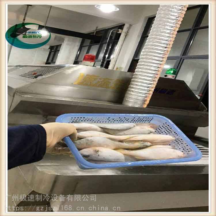 广州 海鲜液氮速冻机定制 比目鱼切片液氮速冻机 连续式海参液氮速冻机 较速制冷