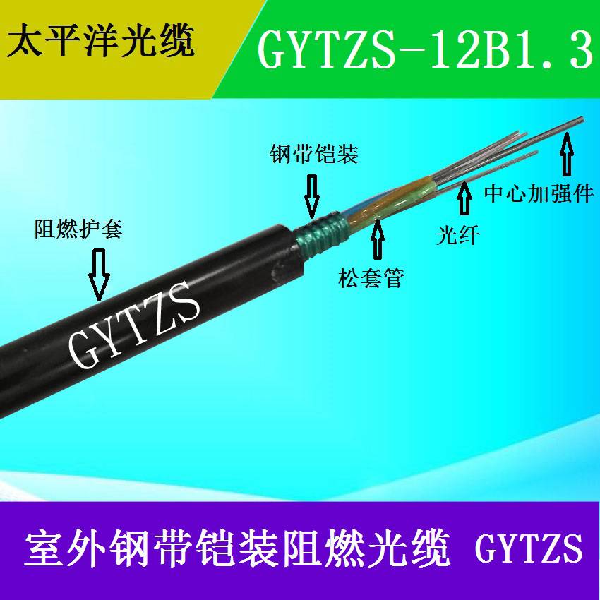 太平洋GYTZS-12B1312芯光缆低烟无卤阻燃通信光缆厂家直销