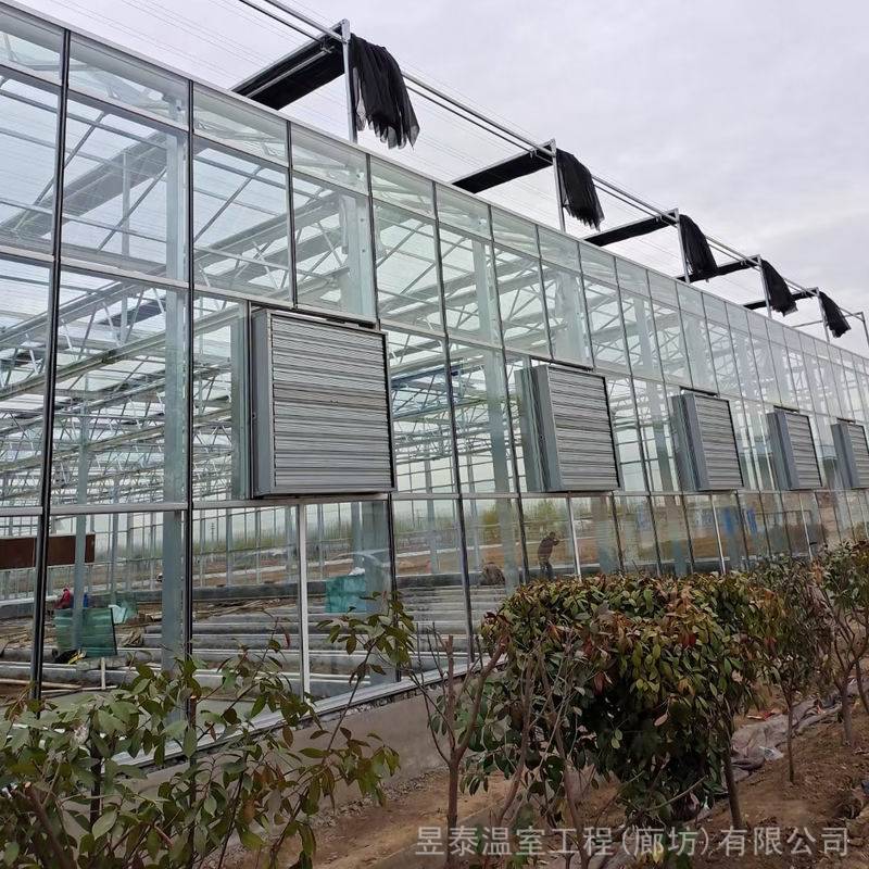 昱泰智能连栋花卉蔬菜育苗种植玻璃温室大棚YTWSWL0080