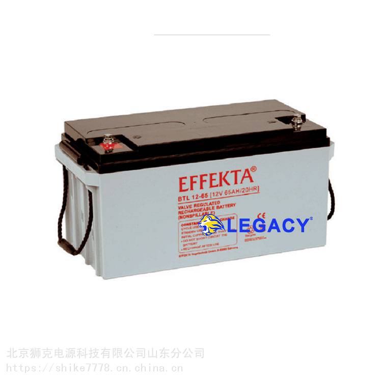 德国EFFEKTA蓄电池BT12-9512V95AH直流屏机房UPS电源