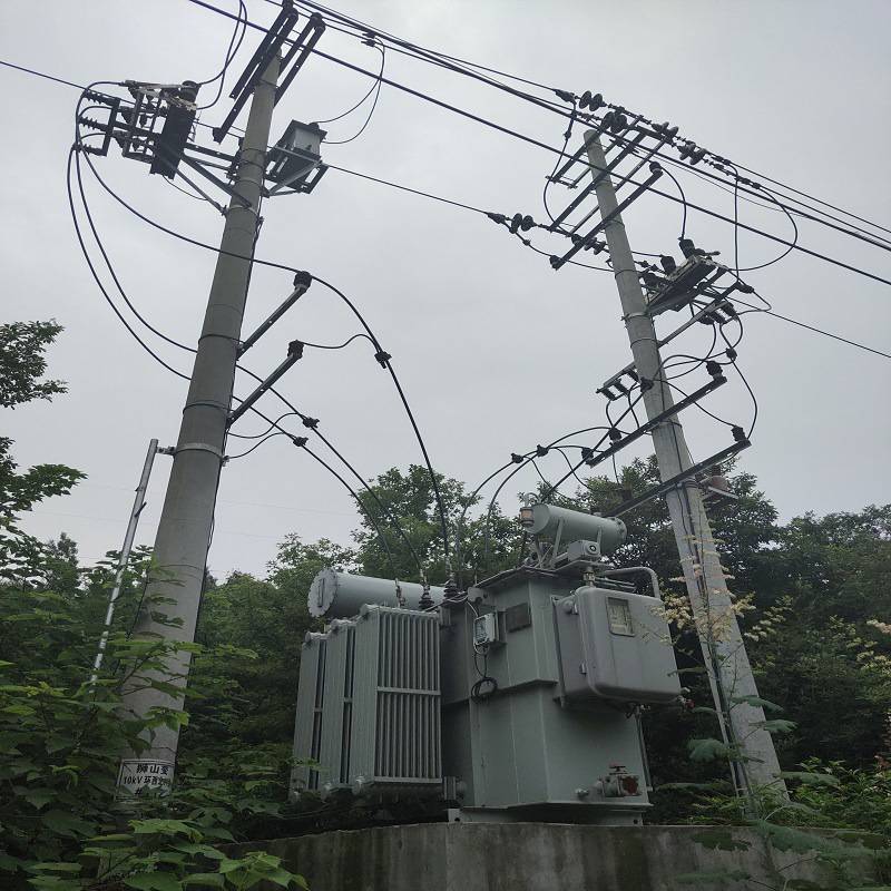 SVR-5000KVA/10KV/9档线路调压器10kv馈电线路中末端电压稳压器