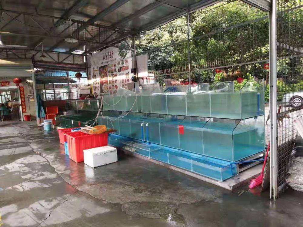广州南沙海鲜池冷水机多少钱-海鲜池制冷机说明书