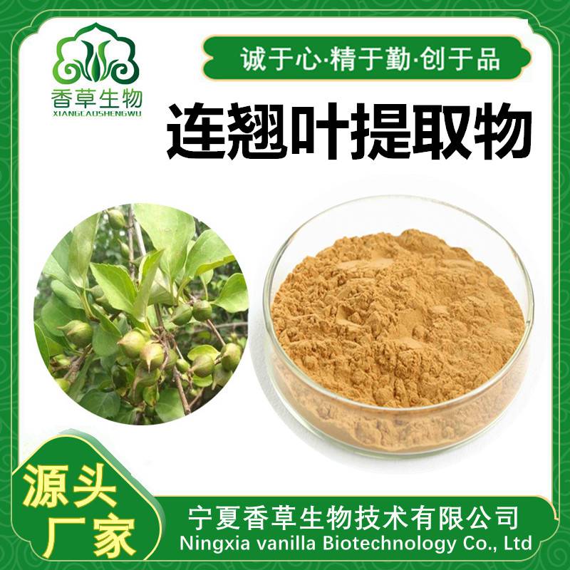 连翘叶提取物提取液连翘叶粉连翘叶速溶粉浸膏