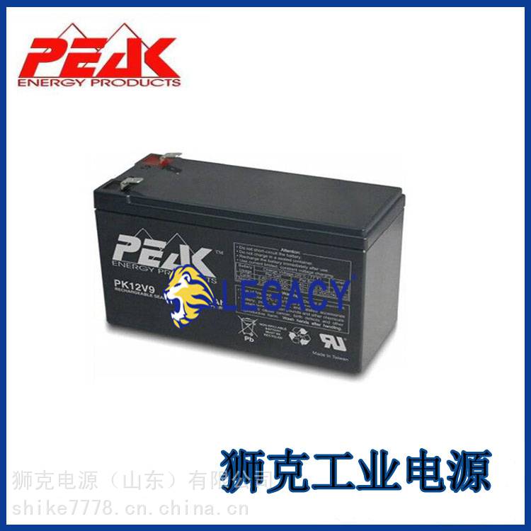 PEAK蓄电池PK12V24照明通讯12V24AH基站机房后备电源