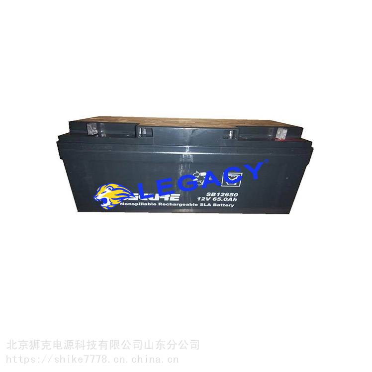 SECURE蓄电池SB1250012V50AH基站通信UPS直流屏