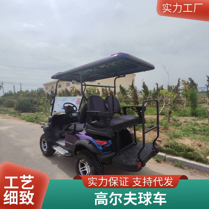 纯电动高尔夫球车 景区度假村海场旅游代步车 4座游览观光车