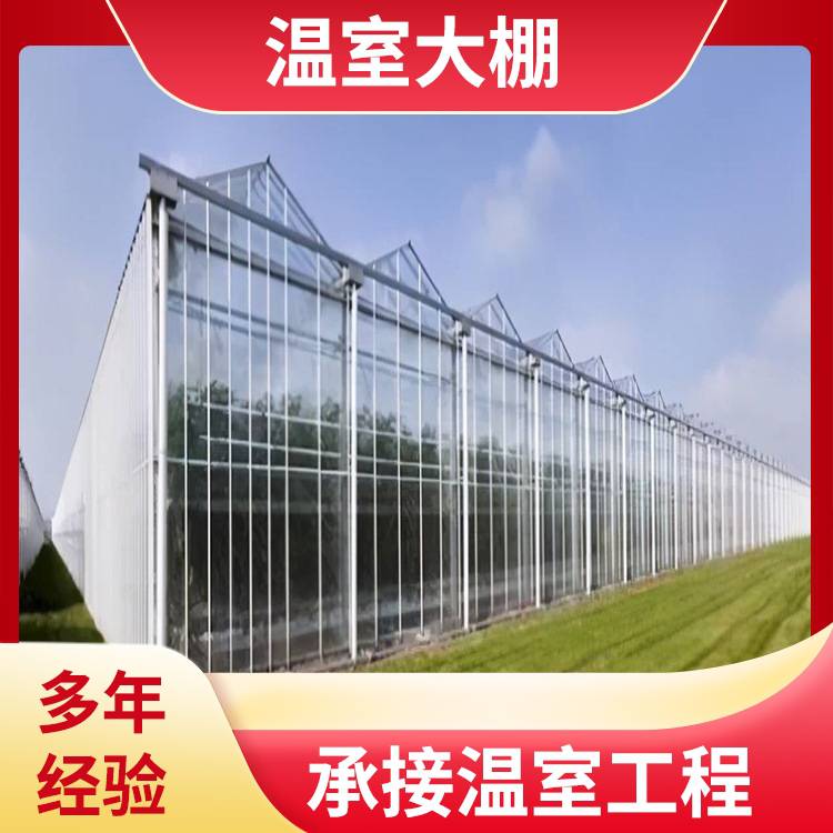 惠州龙门水培种植大棚鸽子塑料温室中科ZKLM-01