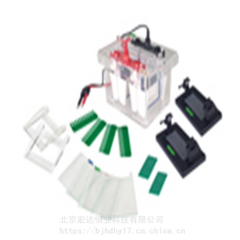 北京君意东方JY-SCZ2型垂直电泳槽总代理特价现货促销