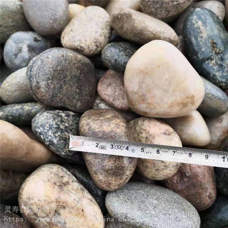 变压器鹅卵石价格5-8公分鹅卵石厂家