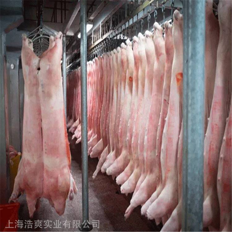1000吨肉类冷冻库、猪肉冷库安装造价成本