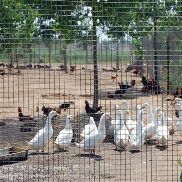 适合Bet365- Bet365官方网站- Bet365 APP下载农村养殖的好项目