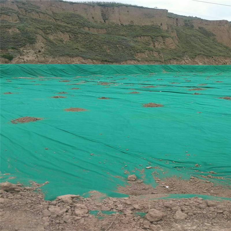 广西700g非织造复合土工膜 水渠铺设防漏 润业土工