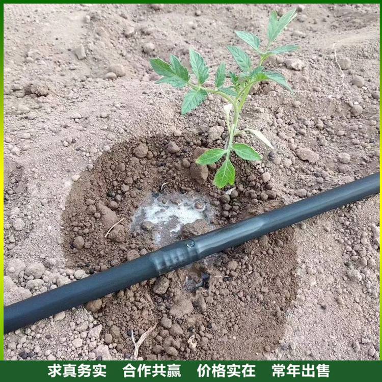 农业节水灌溉用黑色盘管卷管圆柱式滴灌管内镶式滴灌带