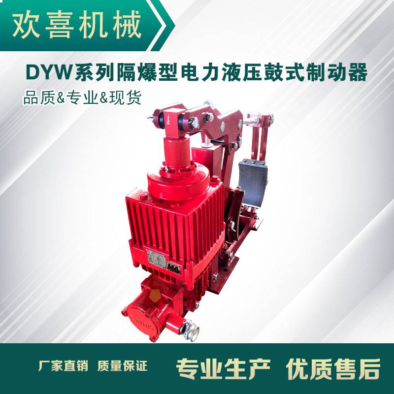 欢喜dyw200-224电力液压鼓式制动器
