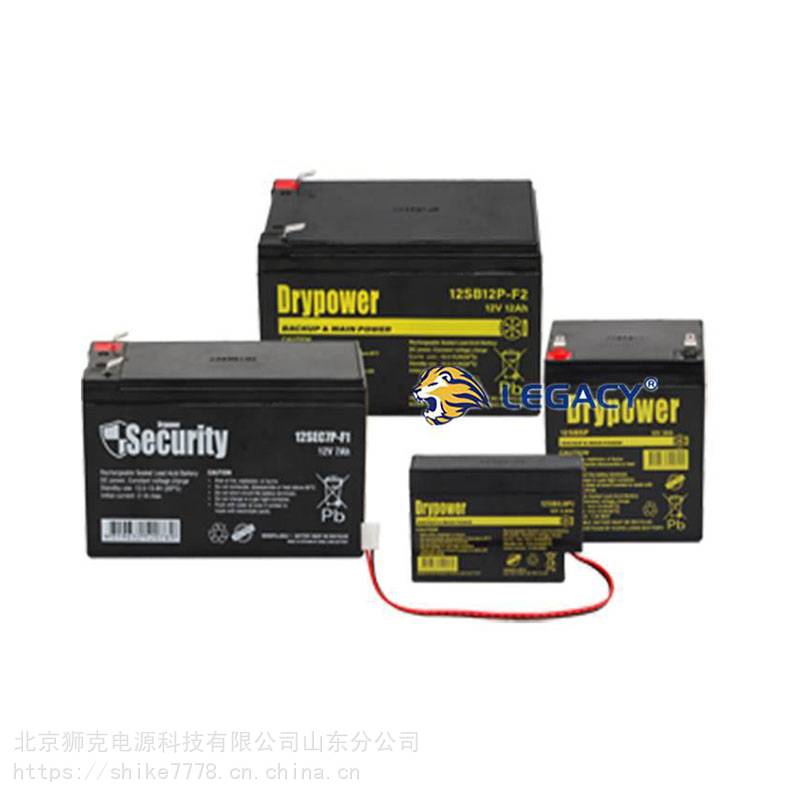 美国DRYPOWER蓄电池12SB17CL-FR12V17AH阀控式密闭