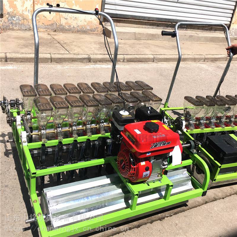 小型手推蔬菜精播机 汽油自走式芹菜播种机 易操作精密播种机