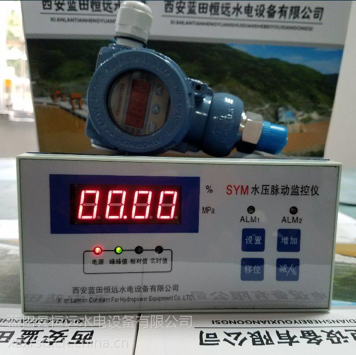 蓝田恒远盘装数字显示方式压力脉动仪SYM